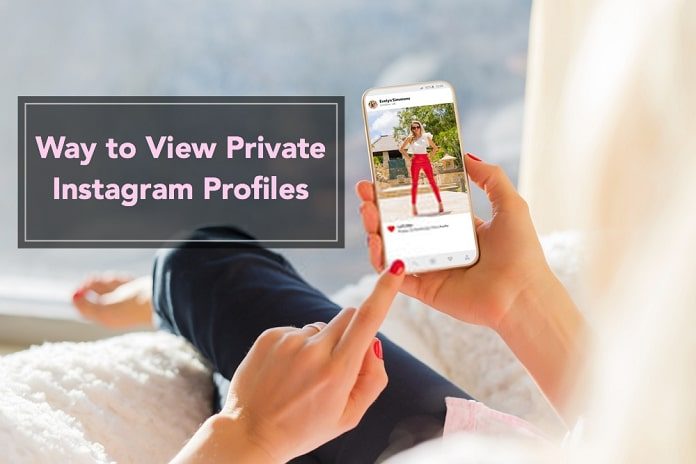 Download Instagram Private Profile Viewer For Android Download Instagram Private Profile Viewer For Android