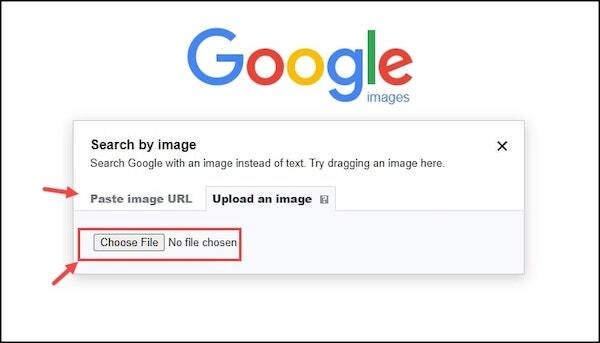 Paste the image URL