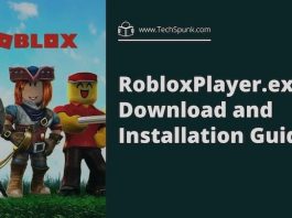RobloxPlayer.exe file