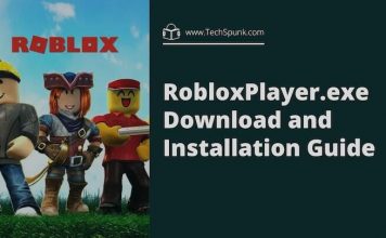 RobloxPlayer.exe file