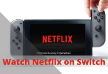 watch netflix on nintendo switch