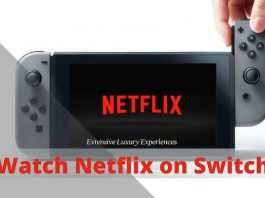 watch netflix on nintendo switch