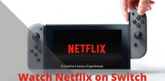 watch netflix on nintendo switch