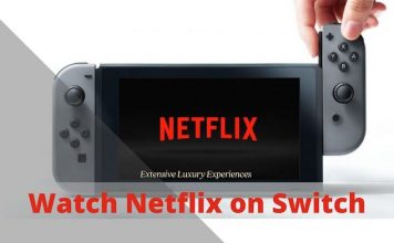 watch netflix on nintendo switch