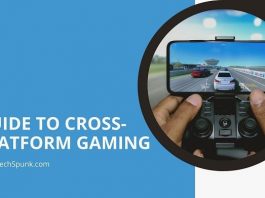 cross-platform gaming
