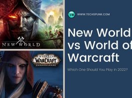 new world vs world of warcraft