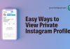 view private instagram profiles