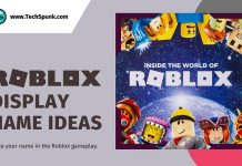 roblox display names ideas