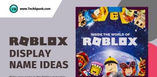 roblox display names ideas
