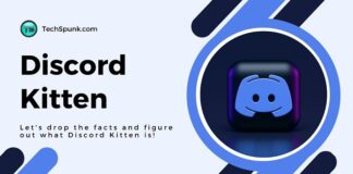 discord kitten meaning