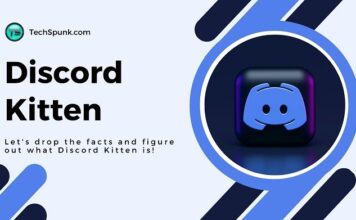 discord kitten meaning