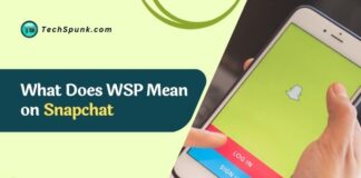 what does wsp mean on snapchat