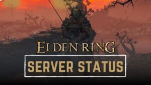 elden ring unable to summon cooperator