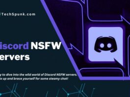 discord nsfw