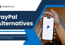 paypal alternatives
