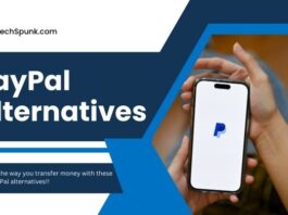 paypal alternatives