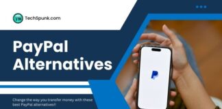 paypal alternatives