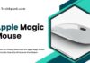 apple magic mouse