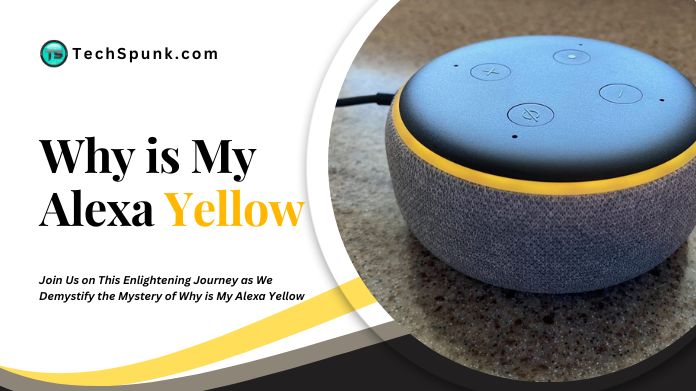 Why is My Alexa Yellow and Green? What Does That Flashing Mean? 1