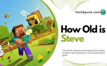 How Old is Steve From Minecraft – Everything You Need to Know About Steve how old is steve