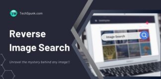 reverse image search