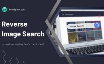 reverse image search