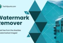 watermark remover