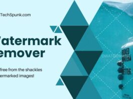 watermark remover