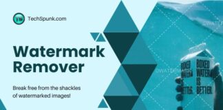 watermark remover