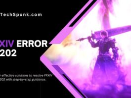 ffxiv error 24202