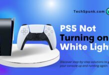 ps5 not turning on white light