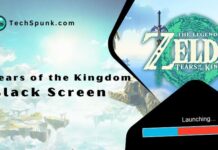 tears of the kingdom black screen