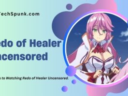 redo of healer uncensored