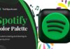 spotify color palette