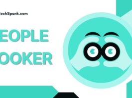 PeopleLooker Review: How It Works people looker reviews