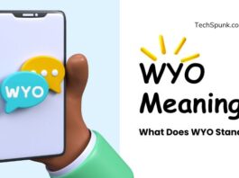 wyo meaning