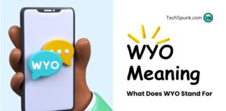 wyo meaning