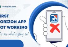 first horizon app not working