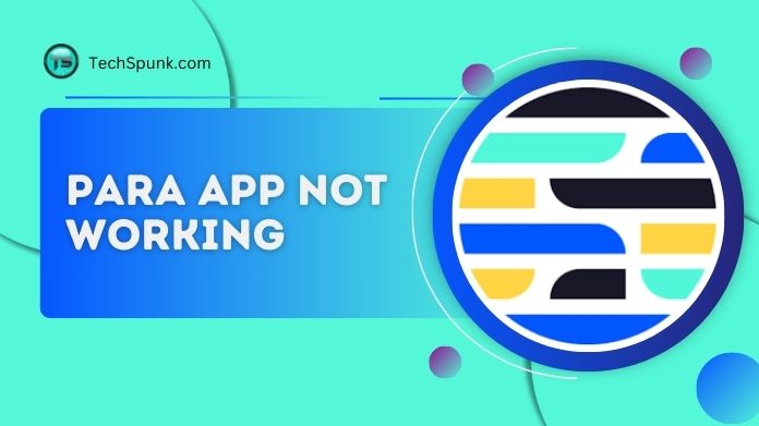 para app not working