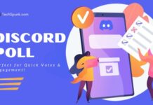 discord poll