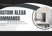 custom alexa commands