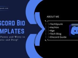Cool & Creative Discord Bio Template for Your Profile discord bio templates