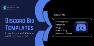 discord bio templates