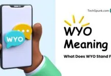 WYO Meaning: What Does WYO Stand For wyo meaning