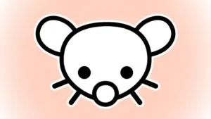 reddit alternatives