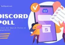 discord poll