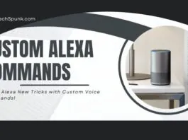 custom alexa commands